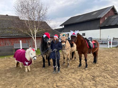 a group of people standing with horses and a pony at Pferdehof Thomayer in Strasswalchen