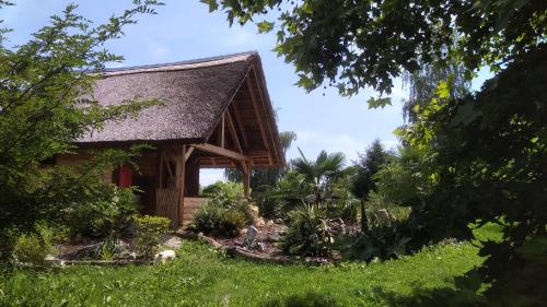 a cottage with a garden in front of it at Camping with your own tent, Camp Eucalyptus in Kapele