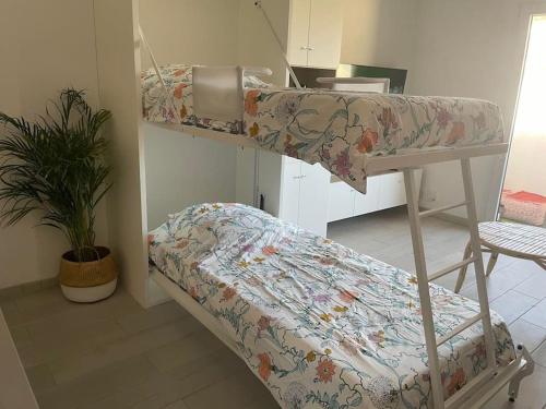 quelques lits superposés dans une chambre dans l'établissement T1 Neuf Balcon 700 m de la mer Parking Wifi Draps, à Six-Fours-les-Plages