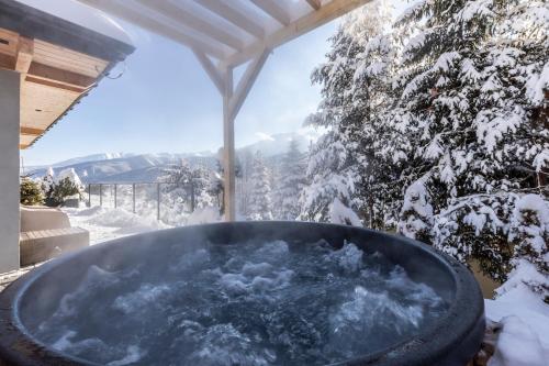 Czarne Wierchy Domy Premium en invierno