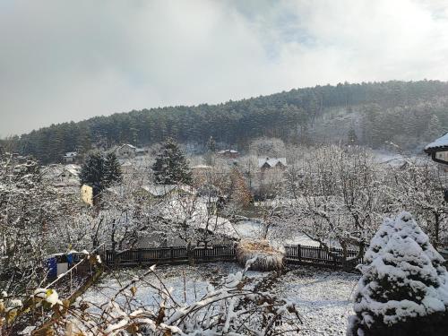 a snow covered yard with trees and houses on a hill at Apartmani Mir A1 in Vrnjačka Banja