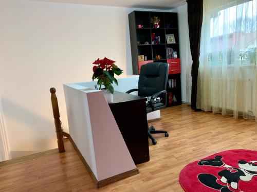 Billede fra billedgalleriet på Casa Costache i Braşov