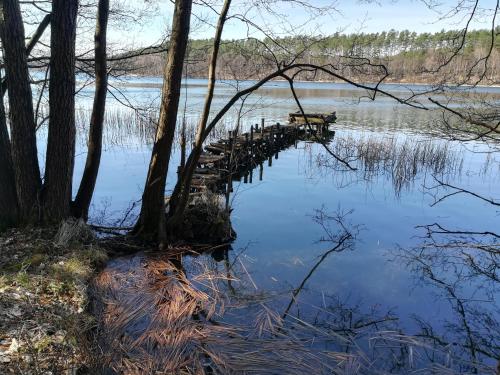 a dock in the middle of a lake at 200 Years of History in Woldenberg Neumark