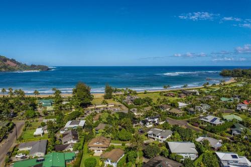 an aerial view of a beach with houses and the ocean at Hanalei Palms home in Hanalei