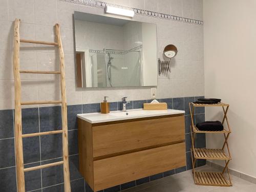 La salle de bains est pourvue d'un lavabo et d'un miroir. dans l'établissement Maison Nausikaa, à Ostende
