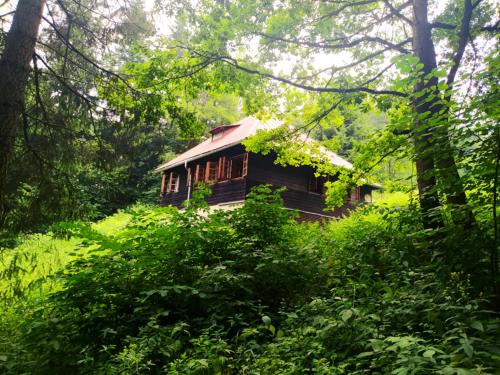 a small wooden cabin in the middle of a forest at Horská chata Jiřinka in Valašské Klobouky