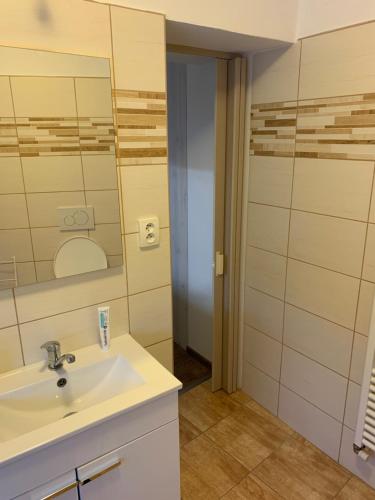a bathroom with a sink and a mirror at U lesního muže in Střelice