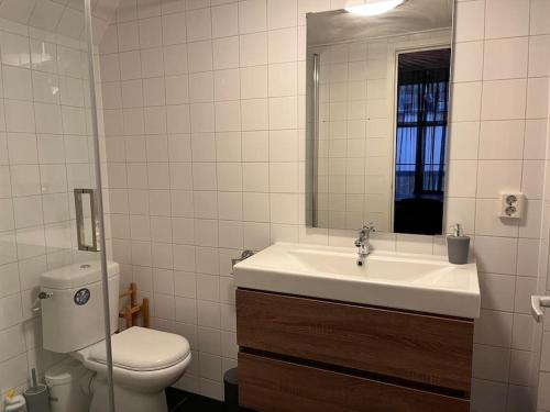 a bathroom with a sink and a toilet and a mirror at Appartement centrum Leeuwarden in Leeuwarden