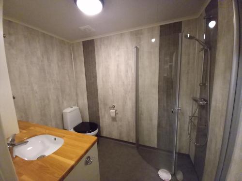 uma casa de banho com um chuveiro e um lavatório. em Ristafallet em Åre