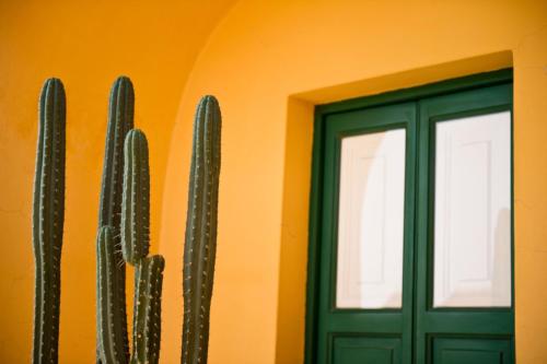 a green door and a cactus against an orange wall at Hotel Signum in Malfa