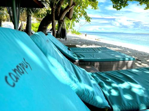 a row of green benches on a beach at Canopus Retreat Thulusdhoo in Thulusdhoo
