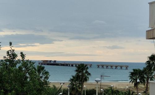 Estrella azul/ Blue star