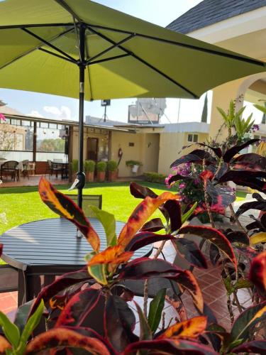 a green umbrella and a table and a plant at Hotel Sumaq Kay in Cumbayá