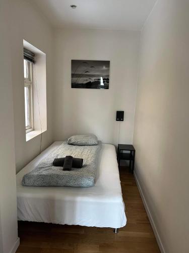een slaapkamer met een bed in een kamer bij Fløyen Apartment in Bergen