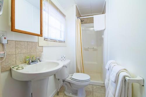 a bathroom with a sink and a toilet and a shower at Half Moon Motel & Cottages in Weirs Beach