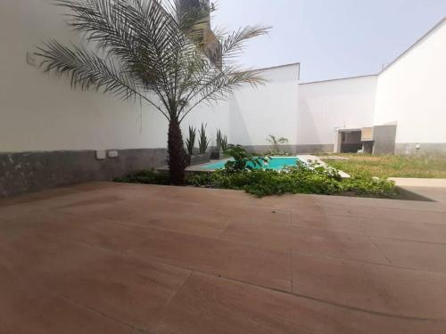 un palmier devant un bâtiment dans l'établissement Hermosa Casa de Playa km 90.5, à Bujama Baja