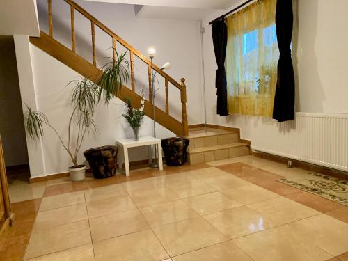 Braşov şehrindeki Casa Costache tesisine ait fotoğraf galerisinden bir görsel