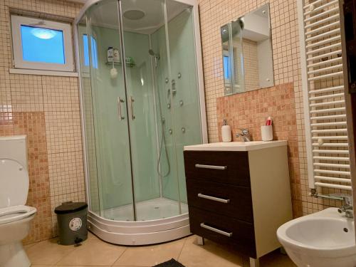 Kupaonica u objektu Casa Costache