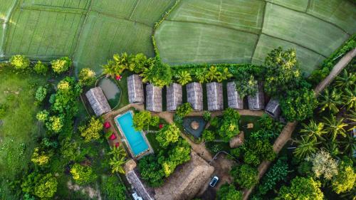 an aerial view of a garden with a pool at Gaga Bees Yala in Tissamaharama