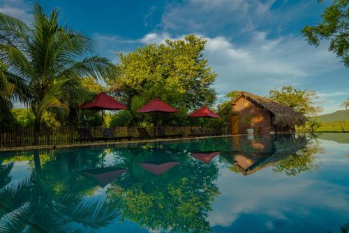 una piscina resort con una casa y árboles en Gaga Bees Yala en Tissamaharama