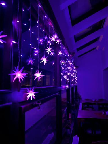 a room with purple lights hanging from the ceiling at Hotel STARÝ MLÝN in Jeseník