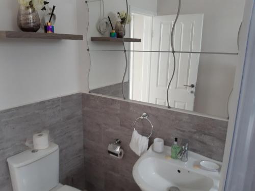 a bathroom with a sink and a toilet and a mirror at Accra Cozy Retreat with 2 Bedrooms in Accra