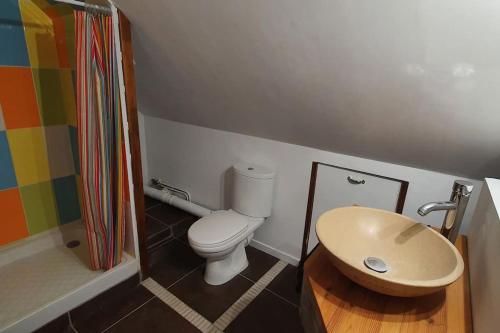 een badkamer met een toilet en een wastafel bij Gîte La Cochette in Corbel