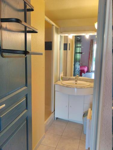 bagno con lavandino e specchio di Maison de vacances 5P dans résidence a Le Barcarès