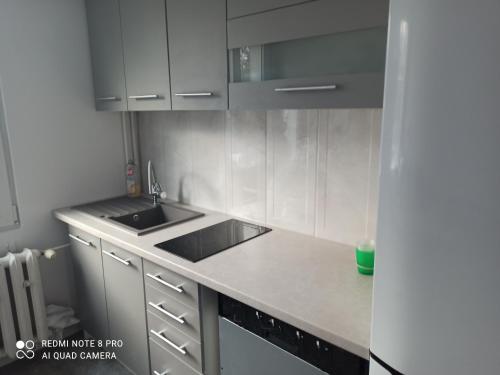 a kitchen with a sink and a counter top at Mieszkanie Antoni in Głuchołazy