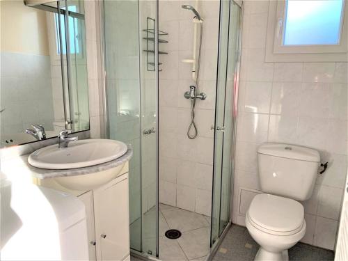 une salle de bain avec toilettes, lavabo et douche dans l'établissement Charmante maison 2 pièces, 4 pers, plage à pied, quartier calme, jardin, Wi-Fi, animaux ok, parking - FR-1-478-171, à Quiberon