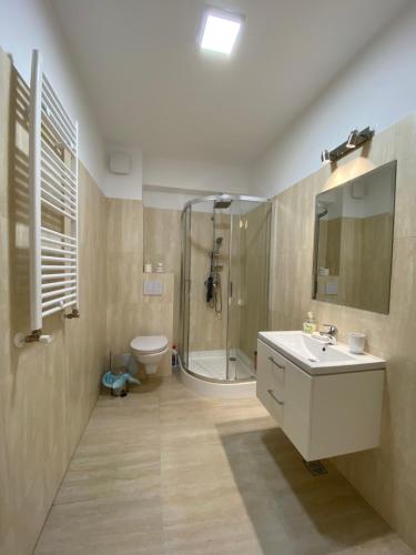 een badkamer met een douche, een wastafel en een toilet bij Q Apartament Loft place near Palas Mall in Iaşi