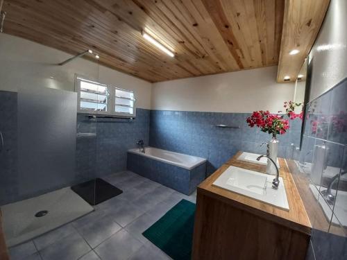 een badkamer met een bad, een wastafel en een bad bij Les Durantas in Cilaos