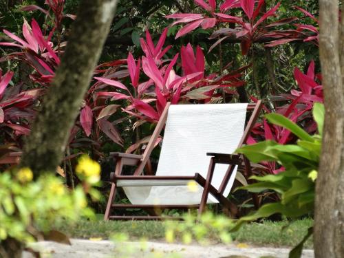 Taman di luar Casa Sabiá
