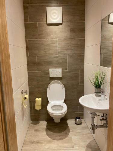 a bathroom with a toilet and a sink at Zimmervermietung Familie Glatz in Möderbrugg