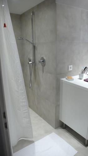 une salle de bain avec douche et lavabo dans l'établissement Maison d'architecte au lac Léman, à Thonon-les-Bains