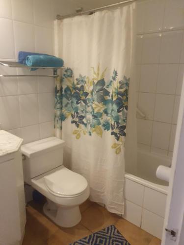 a bathroom with a toilet and a shower curtain at Metro Pedro de Valdivia, Providencia. Departamento amplio 2 ambientes. in Santiago