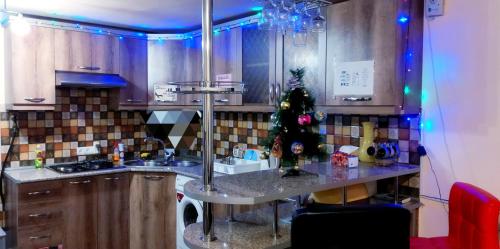 a kitchen with a christmas tree on a counter at Asine Yerevan in Yerevan