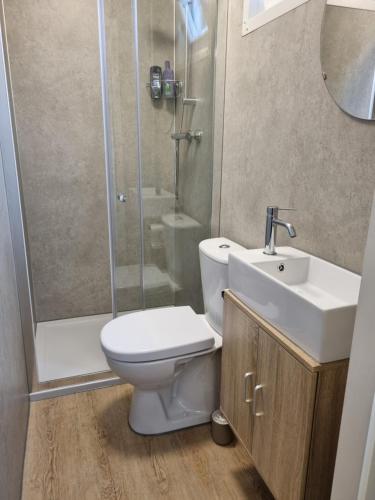 a bathroom with a toilet and a sink and a shower at Chalet2rent Ameland in Ballum