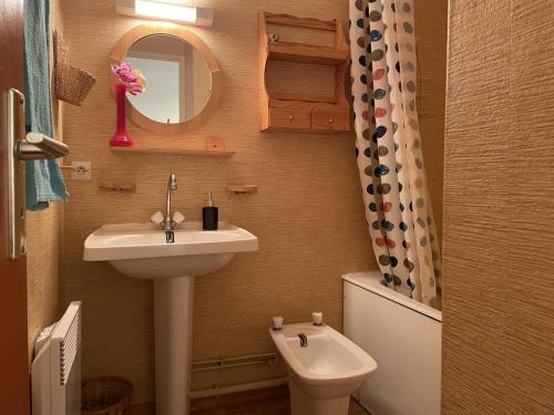 皮伊聖萬桑的住宿－Appartement Puy Saint Vincent 1400, 2 pièces, 6 personnes - FR-1-330G-65，一间带水槽、卫生间和镜子的浴室