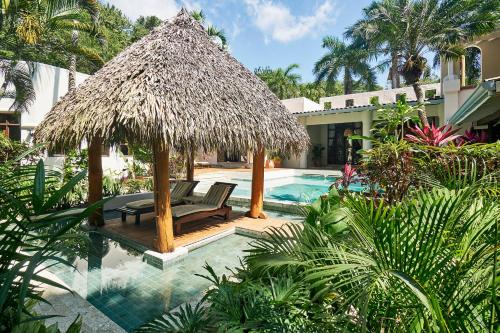 - une piscine avec un parasol et un banc dans l'établissement Paradise Beach Lodge, à Malpaís