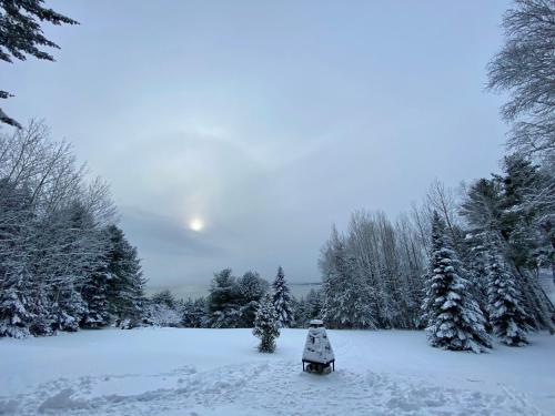 un patio cubierto de nieve con árboles y un muñeco de nieve en Chalet Sous Les Pins, en Les Éboulements