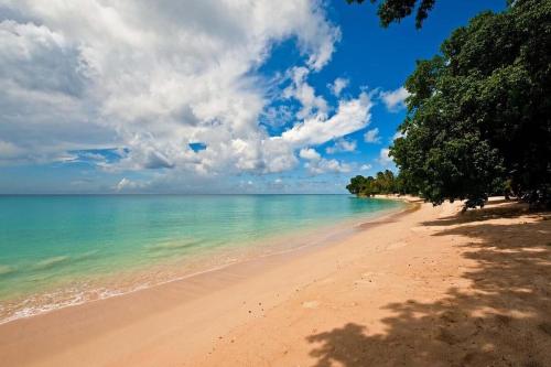 a view of a beach with trees and the ocean at Jessamine by Blue Sky Luxury in Saint Peter