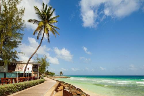 a palm tree on a beach with the ocean at Margate Gardens 4 by Blue Sky Luxury in Bridgetown