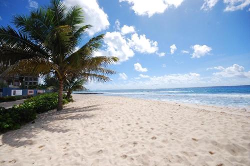 a beach with a palm tree and the ocean at Margate Gardens 4 by Blue Sky Luxury in Bridgetown