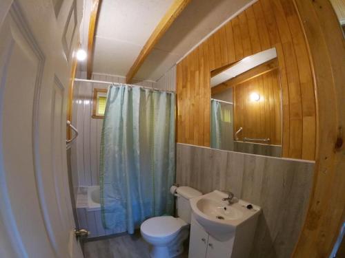 a bathroom with a sink and a toilet and a shower at Cabañas Rayen Karu in Puerto Montt