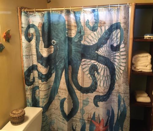 an octopus shower curtain in a bathroom at Lost Reef Resort in Riversdale