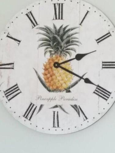 Pineapple Paradise – Photos 4