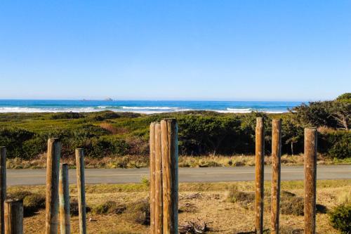 Sand Crab – Photos 3