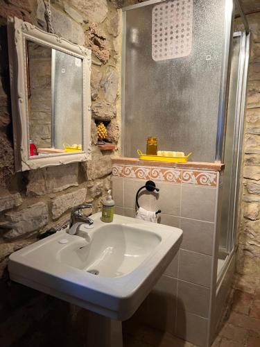 y baño con lavabo blanco y ducha. en Il Fiore di Montieri, en Montieri
