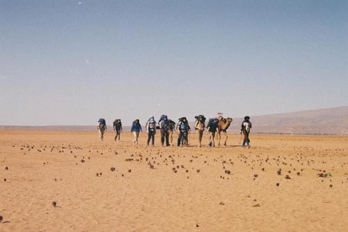 a group of people walking in the desert with a camel at Bivouac Les Nomades & Foum zguid to chegaga tours in Foum Zguid